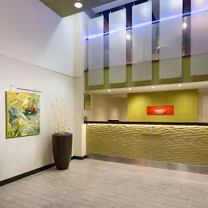 Nyma, The Manhattan Hotel Nowy Jork